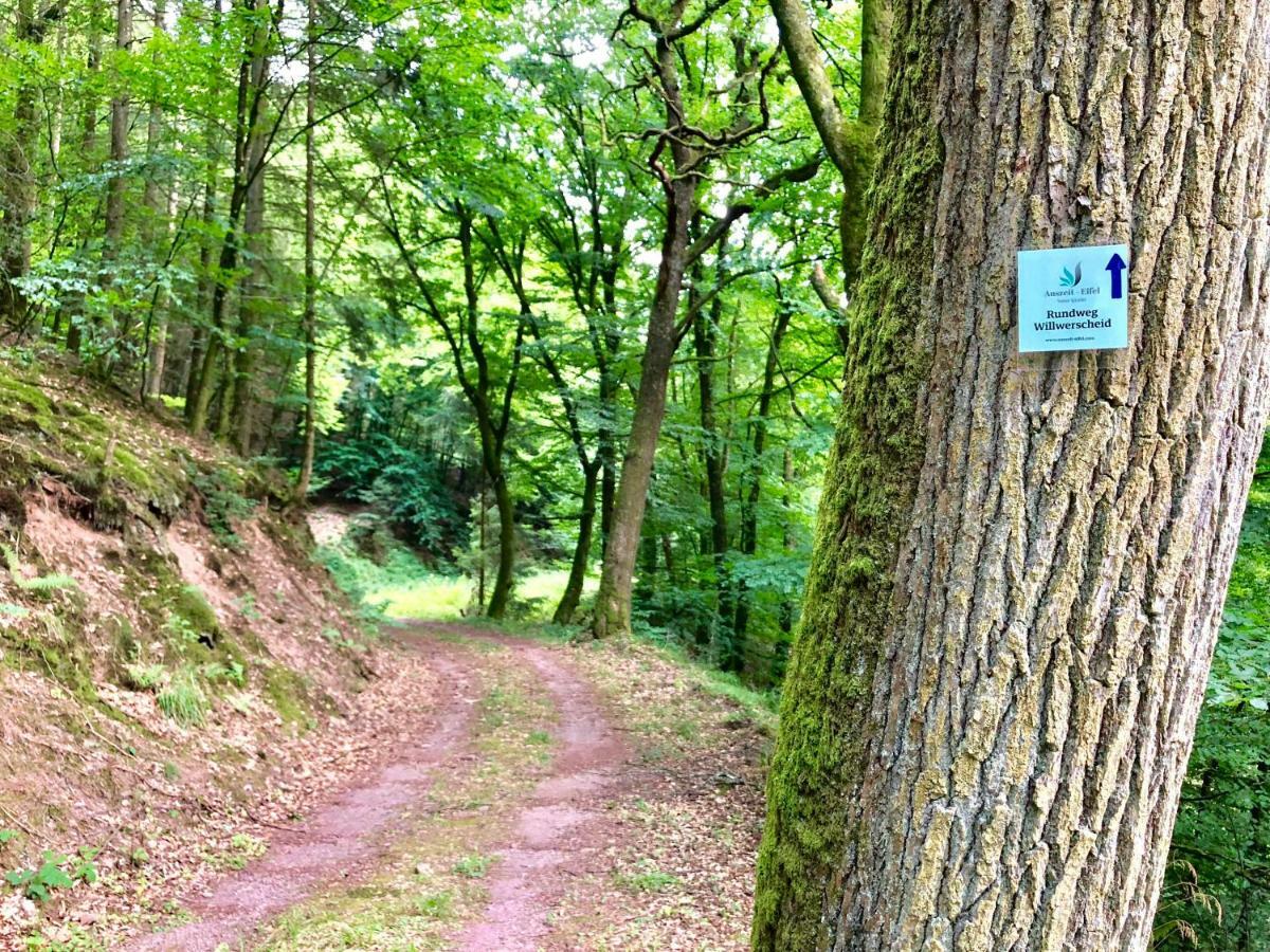 Auszeit-Eifel Eifelhaus "Burgass 1807" Sauna & Badezuber Willwerscheid Bagian luar foto